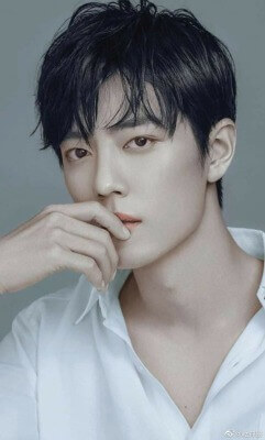 シャオ・ジャン(肖戦)