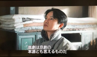 君、花海棠の紅にあらず